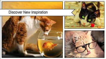 Cat Wallpapers HD اسکرین شاٹ 1