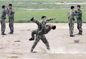 Técnicas de arte marcial do exército Cartaz