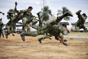 Techniques d'art martial de l'armée capture d'écran 3