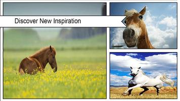 برنامه‌نما Horse Wallpaper عکس از صفحه