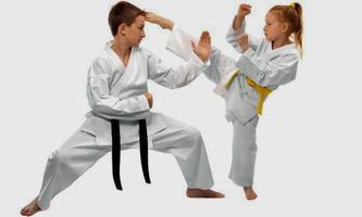 Judo Lessons capture d'écran 1