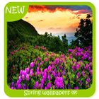 Spring wallpapers 4k icon