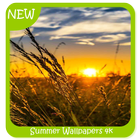 Summer Wallpapers 4k ícone