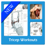 Tricep Workouts icône