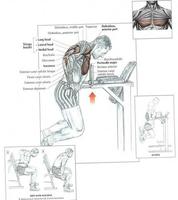 Tricep Workouts Affiche