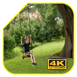 Diy Tree Swings APK