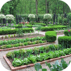 DIY vegetable garden 圖標