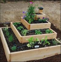 DIY vegetable garden پوسٹر