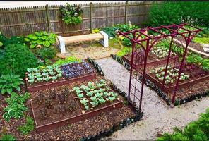 DIY vegetable garden captura de pantalla 1