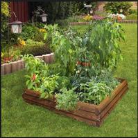 DIY vegetable garden captura de pantalla 3