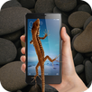 Lizard On Screen APK