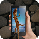 Lizard On Screen aplikacja