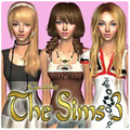Guide The Sims 3
