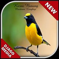 Ringtones Birds Master 스크린샷 1