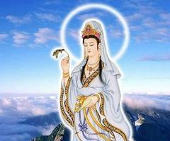 برنامه‌نما Bodhisattva Amulet عکس از صفحه