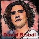 David Bisbal Me Enamoré De Ti Musica ikon