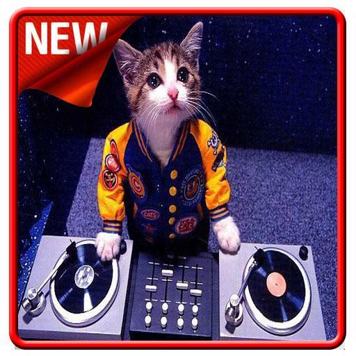 Hot Dj Wallpaper For Android Apk Download Hot Dj Wallpaper For Android Apk Download