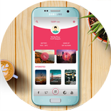 DK Primrose for KLWP