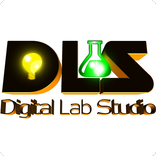 ”DLS - студия, разработчик