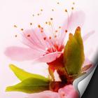 [Full HD] Spring Atom theme أيقونة