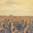 Sunflower Atom Theme APK