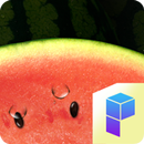 Watermelon Launcher Theme APK