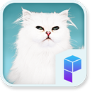 Elegant Persian Cat Theme APK