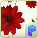 Daisy Flower Launcher Theme APK