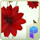 Daisy Flower Launcher Theme icône