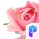 The Rose Theme: Free Wallpaper APK