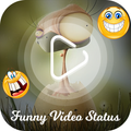 Funny Videos