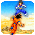 Super Goku - Warrior Battle