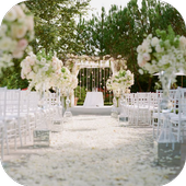 Backyard Weddings Ideas icon