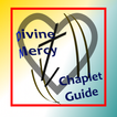 Divine Mercy Chaplet Guide