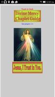 Divine Mercy Chaplet Guide poster