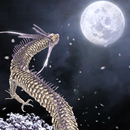 Black Dragon-HEALING 02 Free APK
