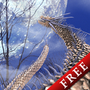 Moon Dragon Sky Trial APK