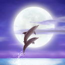 Dolphin-RYUKYU HEALING Free APK