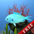 Chromis viridis Trial أيقونة