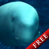 ジュゴンFree アイコン
