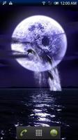 Dolphin Fullmoon Trial Poster