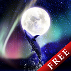 Dolphin Moon Trial Zeichen