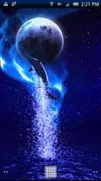 Dolphin Moon Trial Plakat