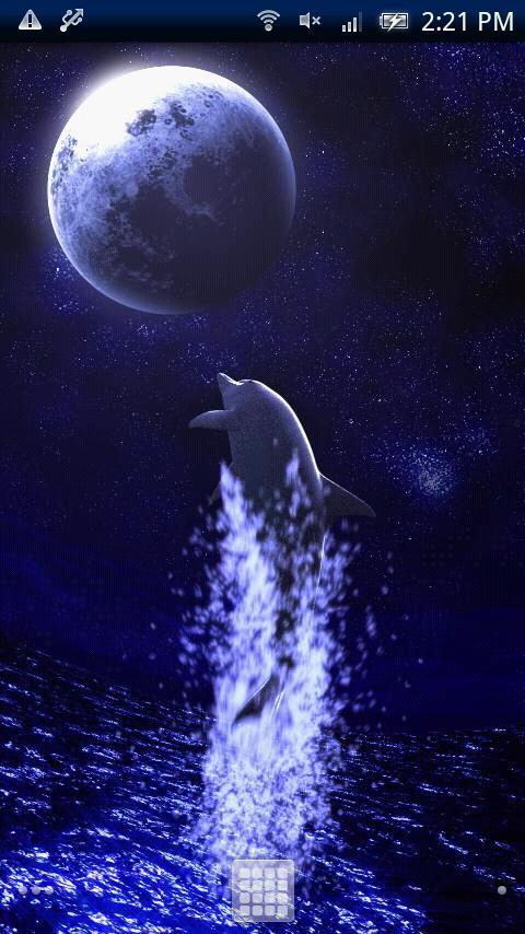 Песни луна дельфины. Луна дельфины. Дельфины под луной. Лунный Дельфин. Дельфины Луна красиво.