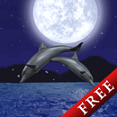 Dolphin Night Trial APK