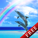 Dolphin Rainbow Trial APK