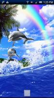 Poster Dolphin Rainbow Trial