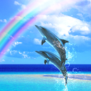 Dolphin Chimes Free APK