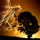 Thunder Dragon-DRAGON PJ Free иконка