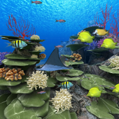 Coral Reef of Kerama Trial icon